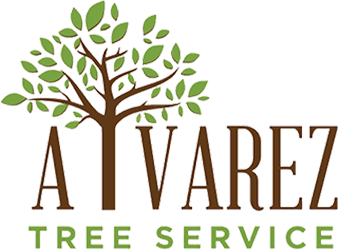 alvarez-tree-service-logo